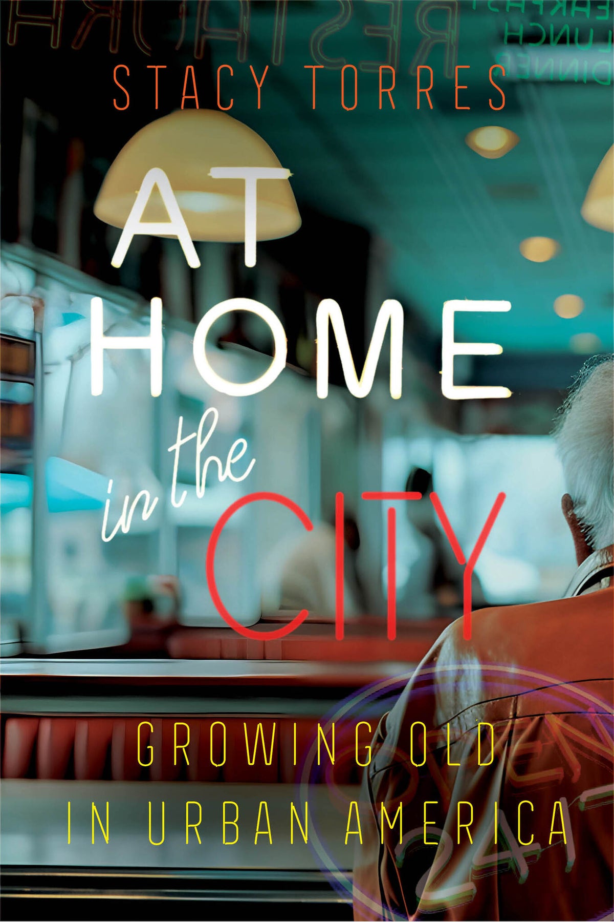 Cover image for At Home in the City ISBN 9780520288621