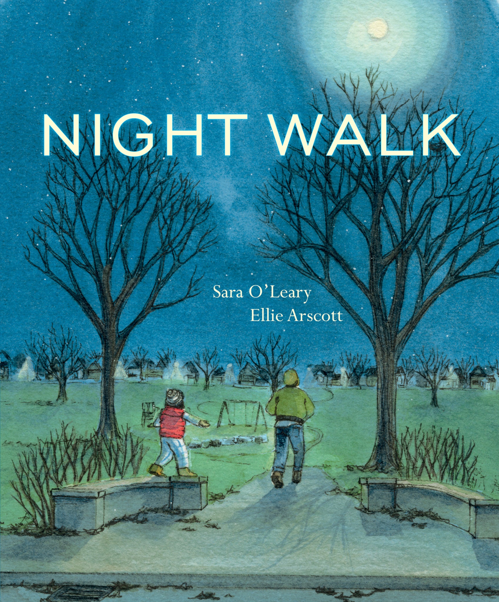 Cover image for Night Walk ISBN 9781554987962