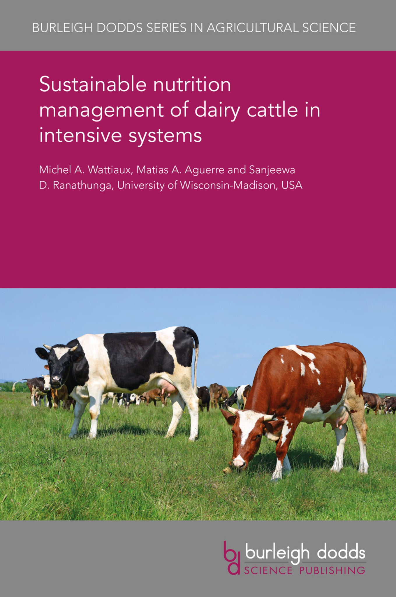 Cover image for Sustainable nutrition management of dairy cattle in intensive systems ISBN 9781838791674