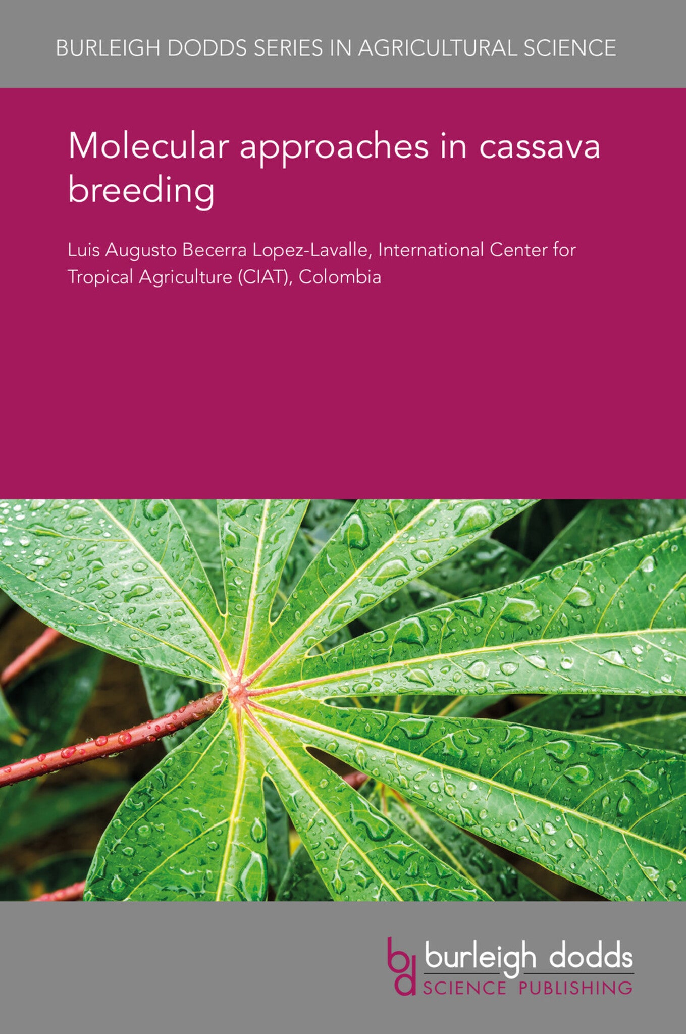 Cover image for Molecular approaches in cassava breeding ISBN 9781838790646