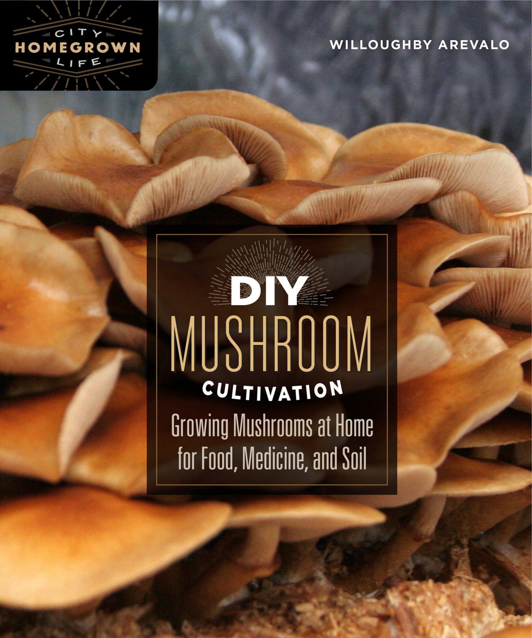 Cover image for DIY Mushroom Cultivation ISBN 9780865718951