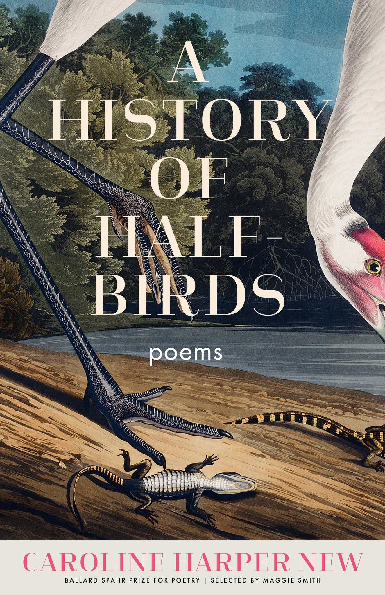 Cover image for A History of Half-Birds ISBN 9781571315304