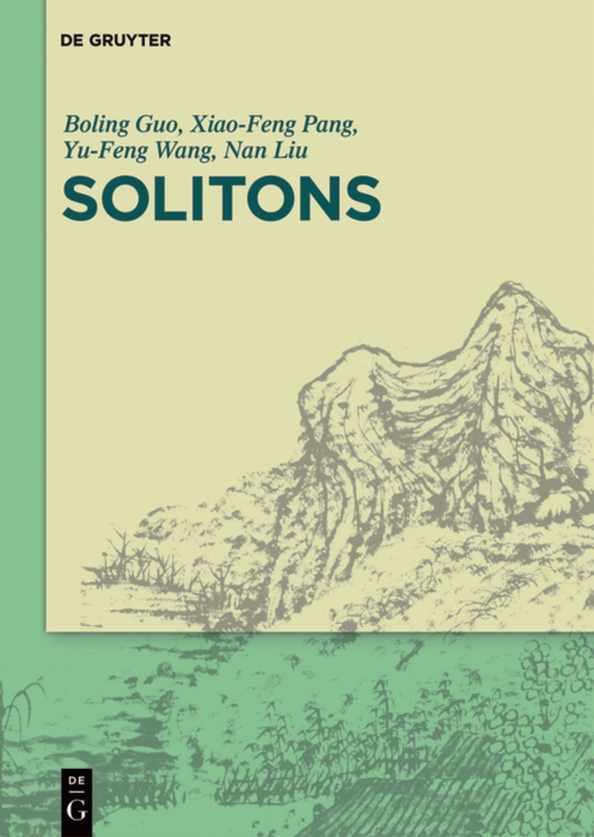 Cover image for Solitons ISBN 9783110549249