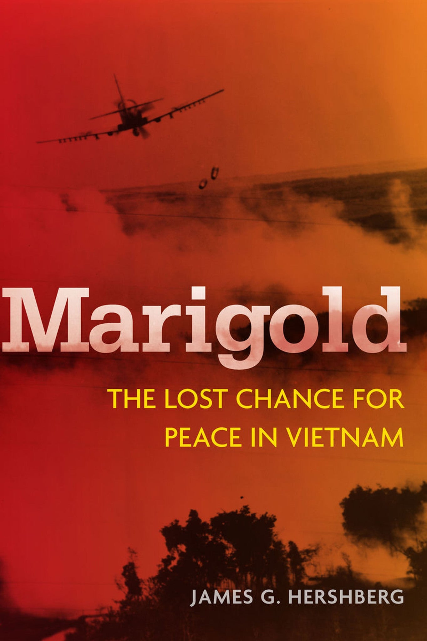 Cover image for Marigold ISBN 9780804793810