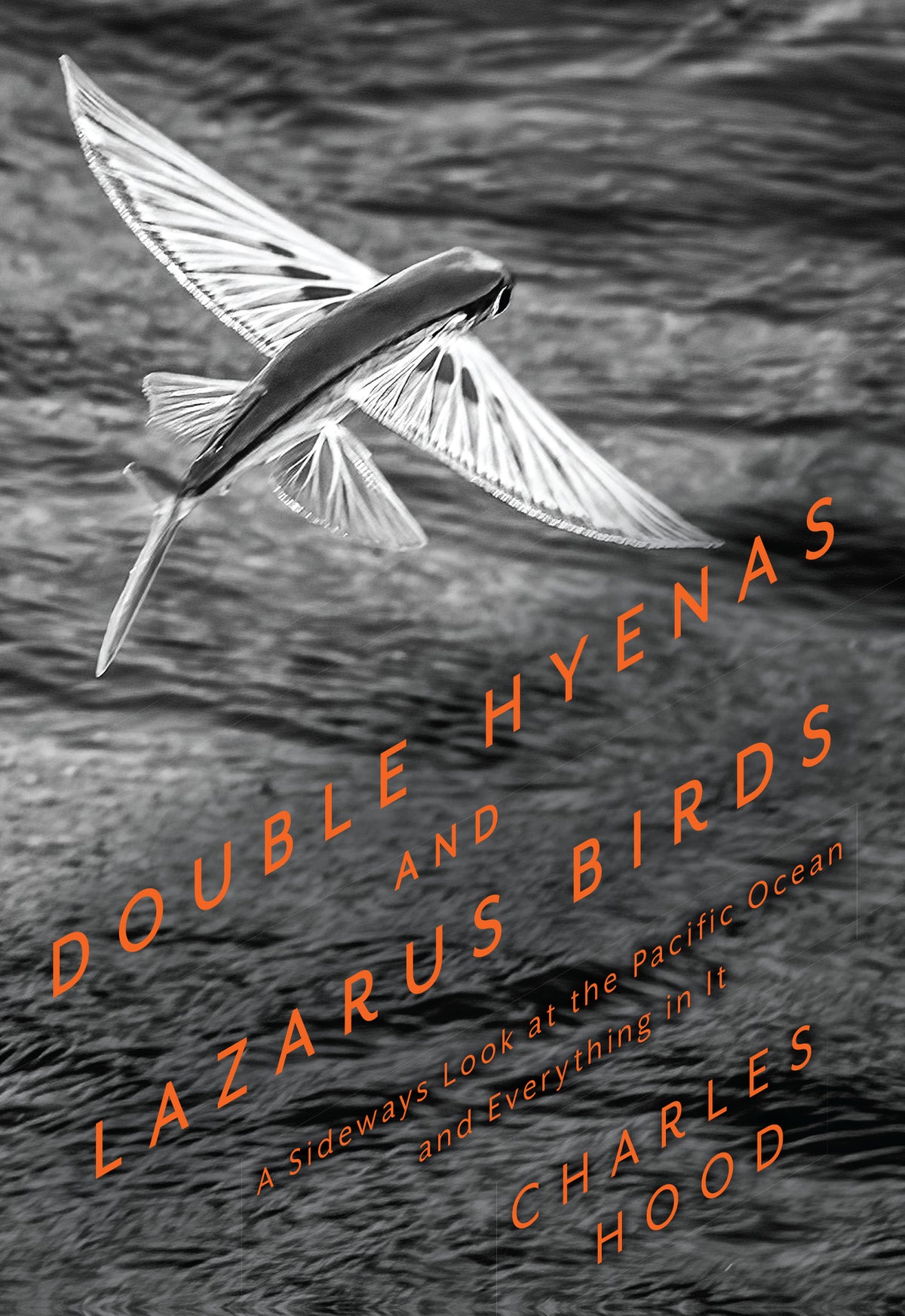 Cover image for Double Hyenas and Lazarus Birds ISBN 9781597146661