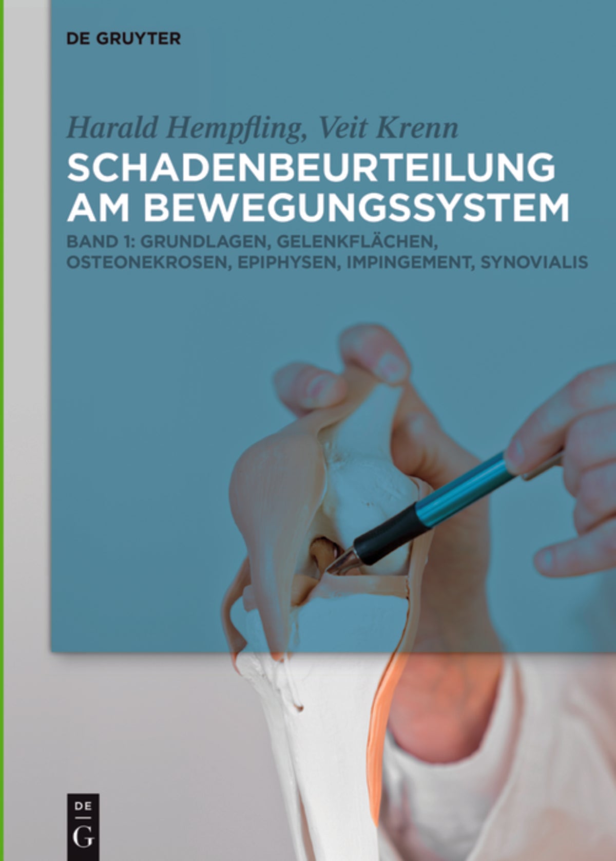 Grundlagen, Gelenkflächen, Osteonekrosen, Epiphysen, Impingement, Synovialis