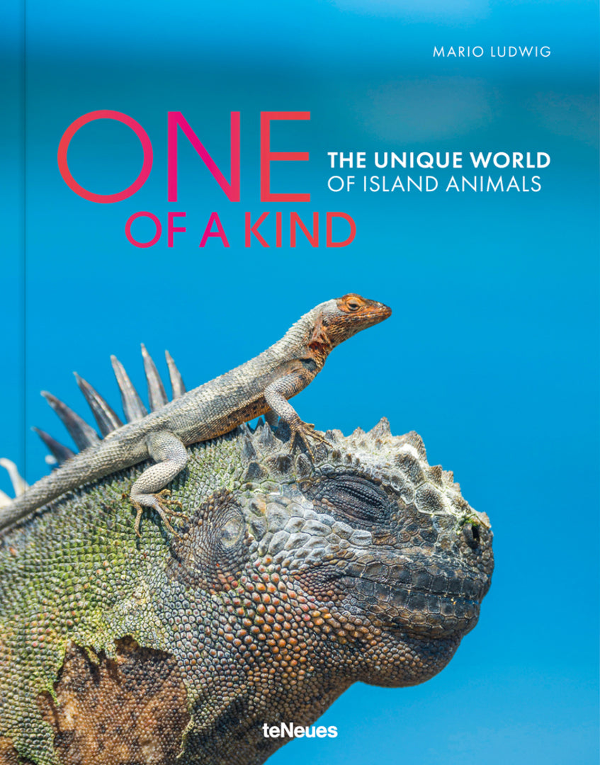 Cover image for One of a Kind ISBN 9783961713905