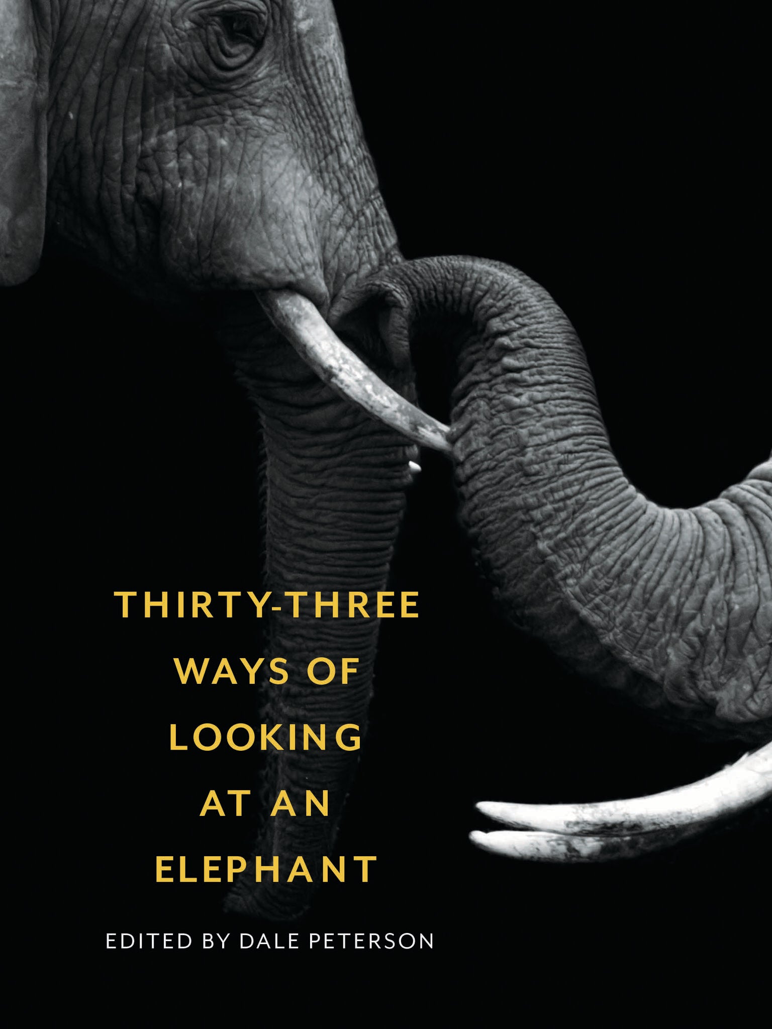 Cover image for Thirty-Three Ways of Looking at an Elephant ISBN 9781595348661