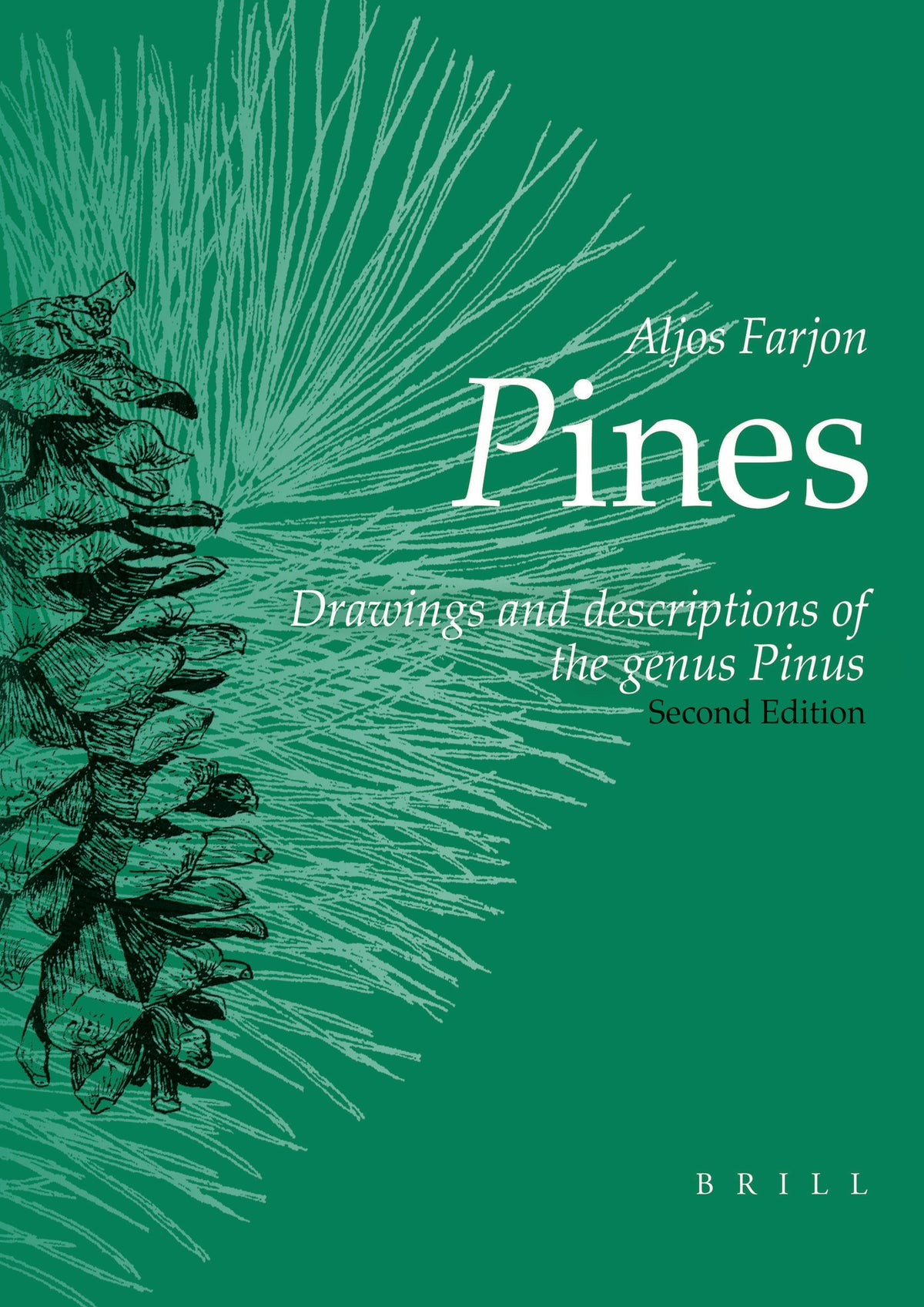 Cover image for Pines, 2nd revised edition ISBN 9789004371644