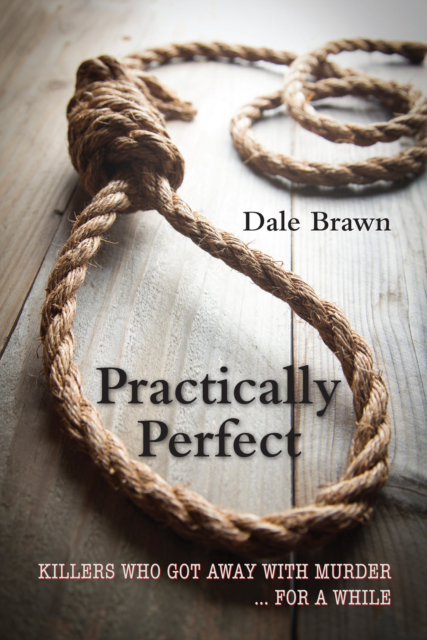 Cover image for Practically Perfect ISBN 9781459709706