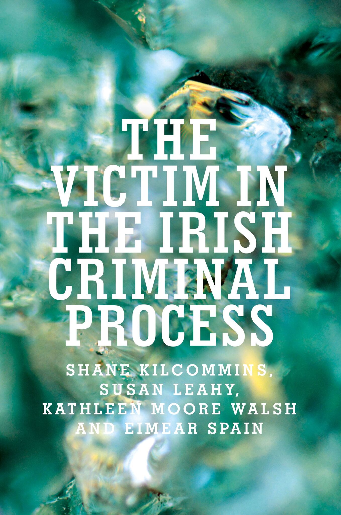 Cover image for The victim in the Irish criminal process ISBN 9781526106384