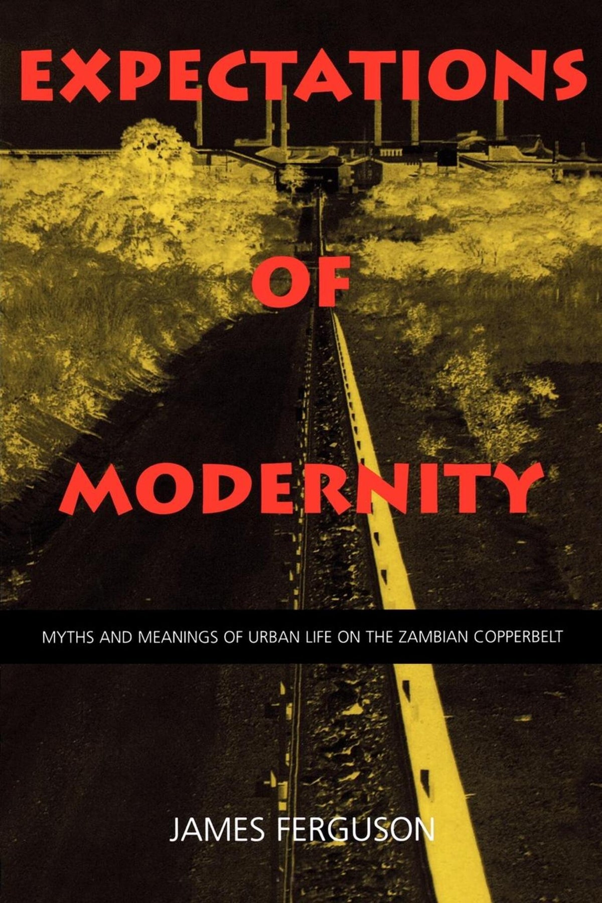 Cover image for Expectations of Modernity ISBN 9780520922280
