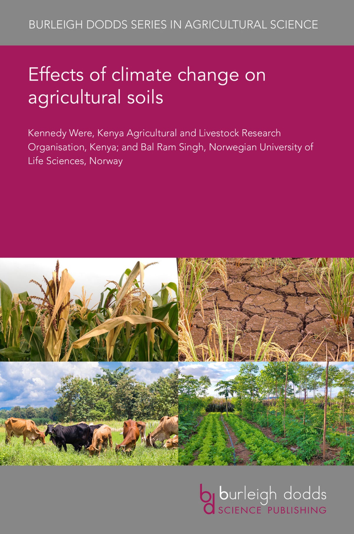 Effects of climate change on agricultural soils