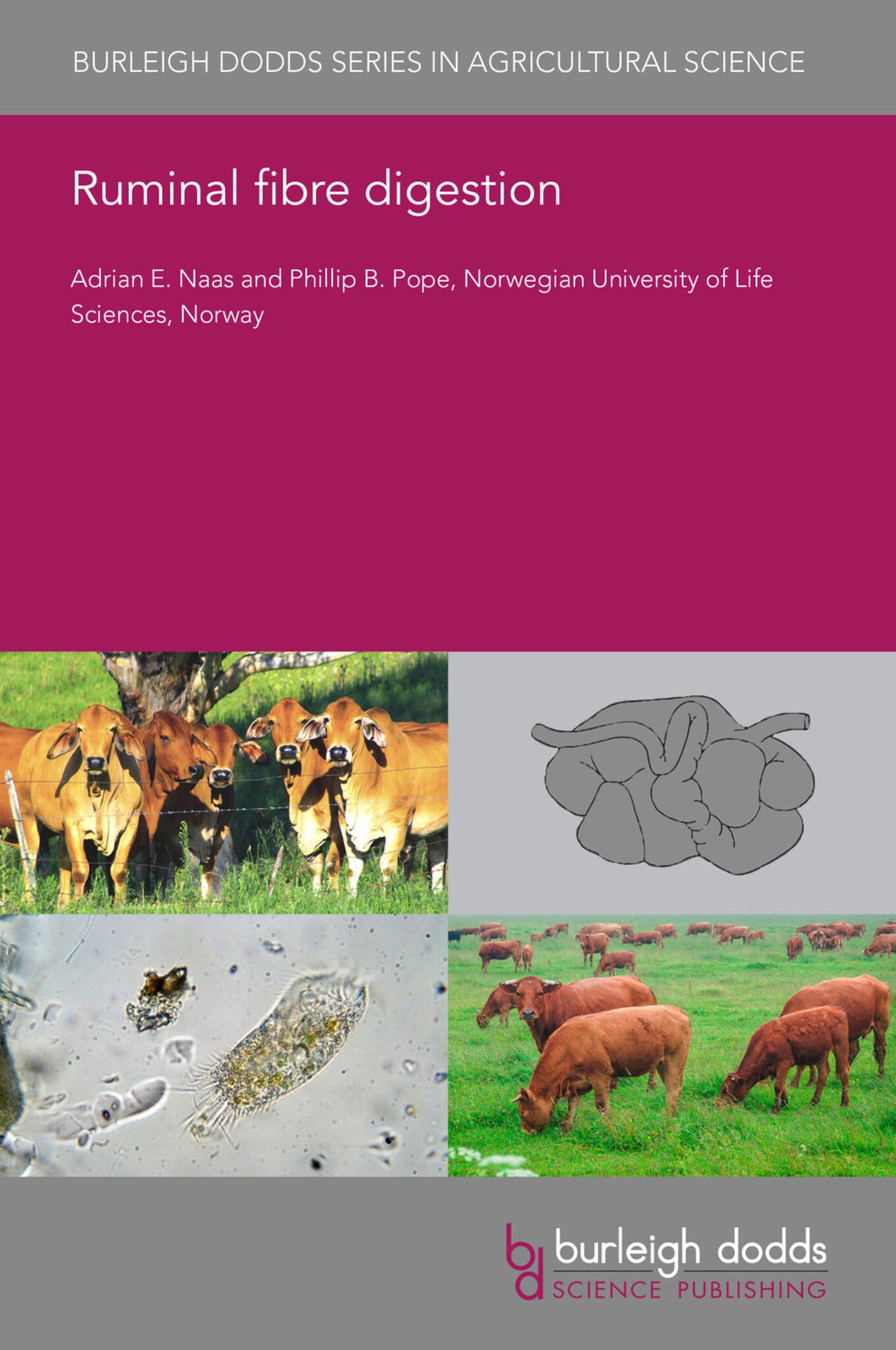 Cover image for Ruminal fibre digestion ISBN 9781786768018