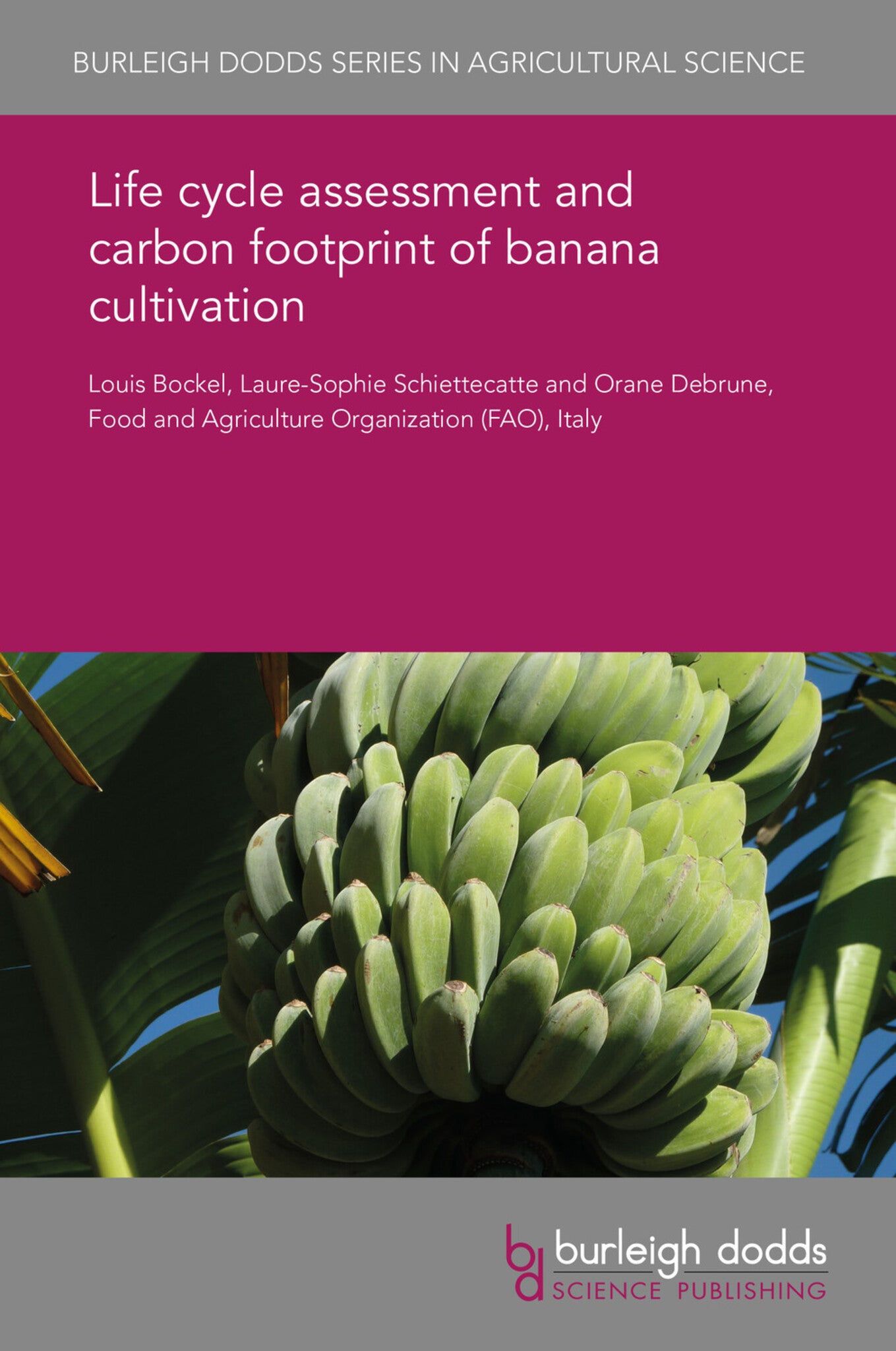 Cover image for Life cycle assessment and carbon footprint of banana cultivation ISBN 9781838793463