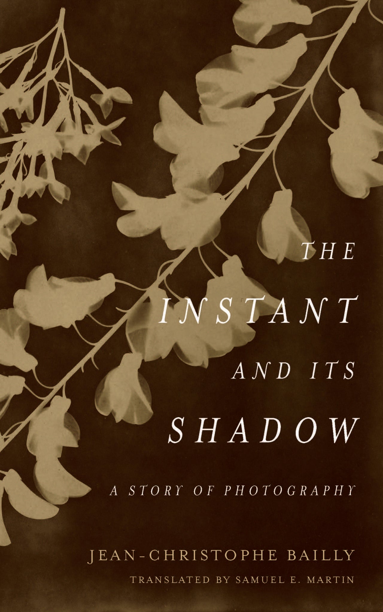 Cover image for The Instant and Its Shadow ISBN 9780823287451