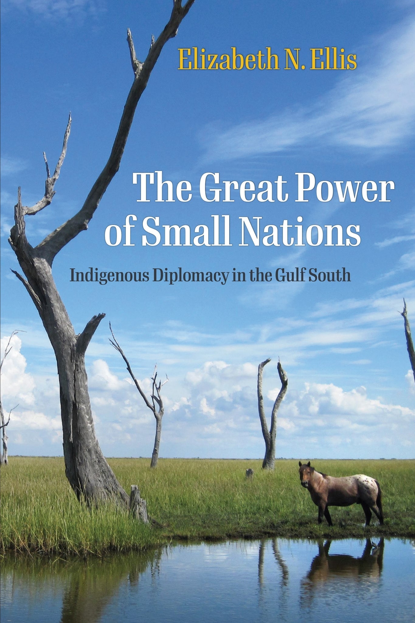 Cover image for The Great Power of Small Nations ISBN 9781512827071