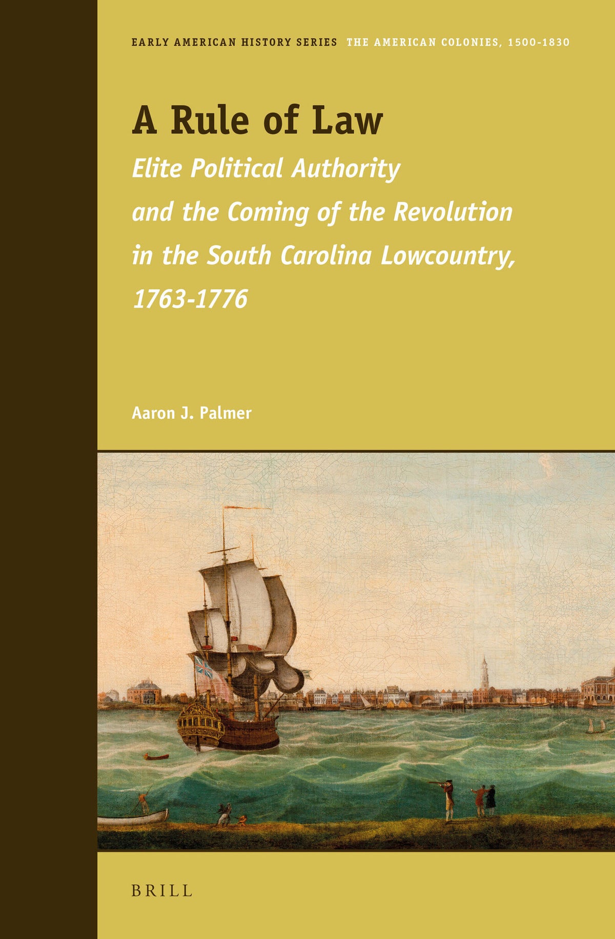Cover image for A Rule of Law ISBN 9789004272347