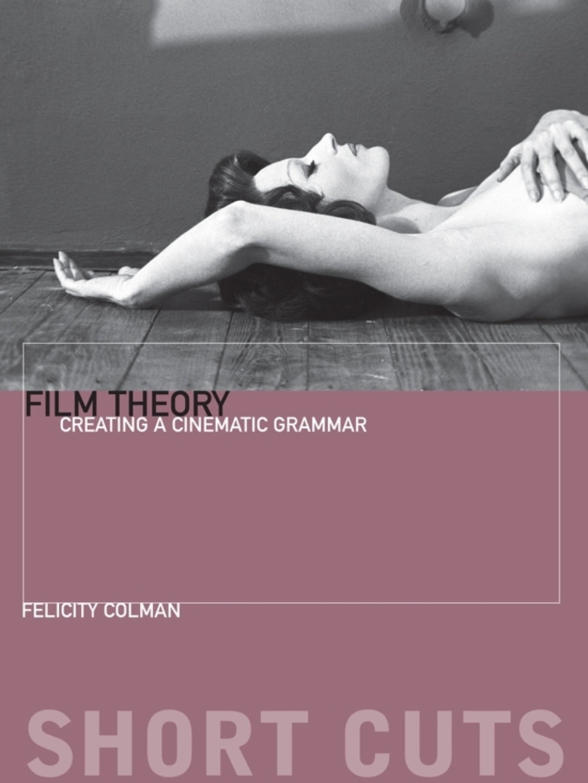 Cover image for Film Theory ISBN 9780231169738