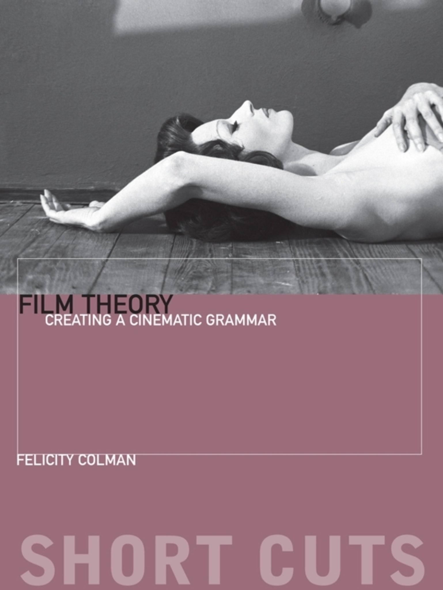 Cover image for Film Theory ISBN 9780231169738