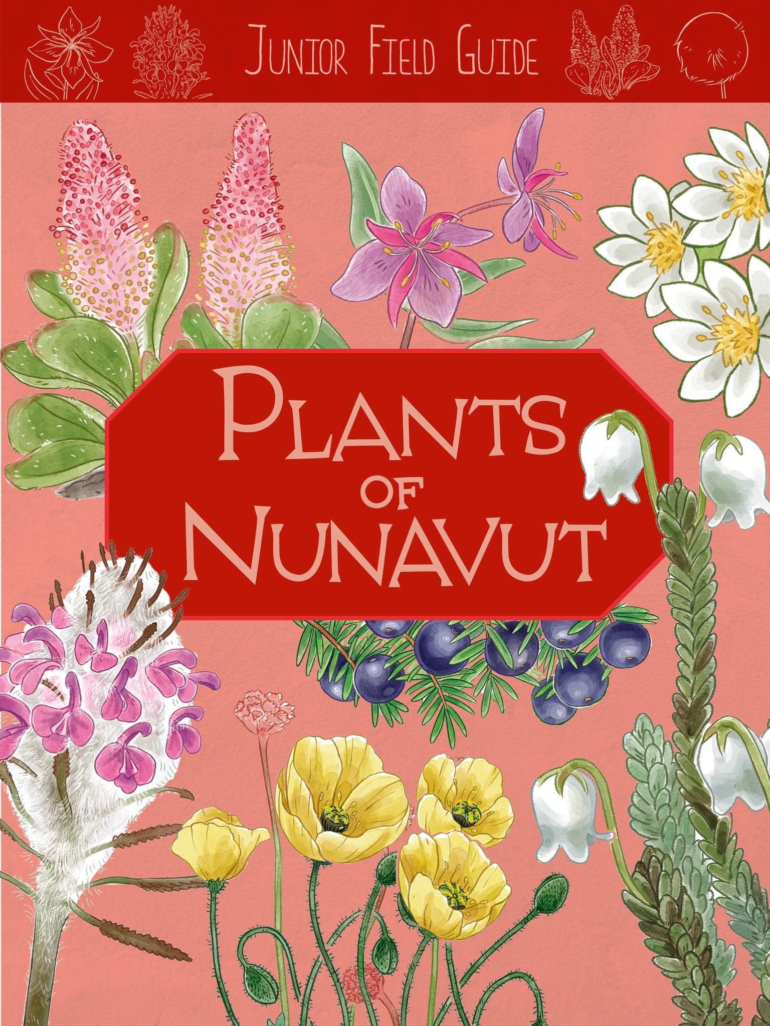 Junior Field Guide: Plants of Nunavut