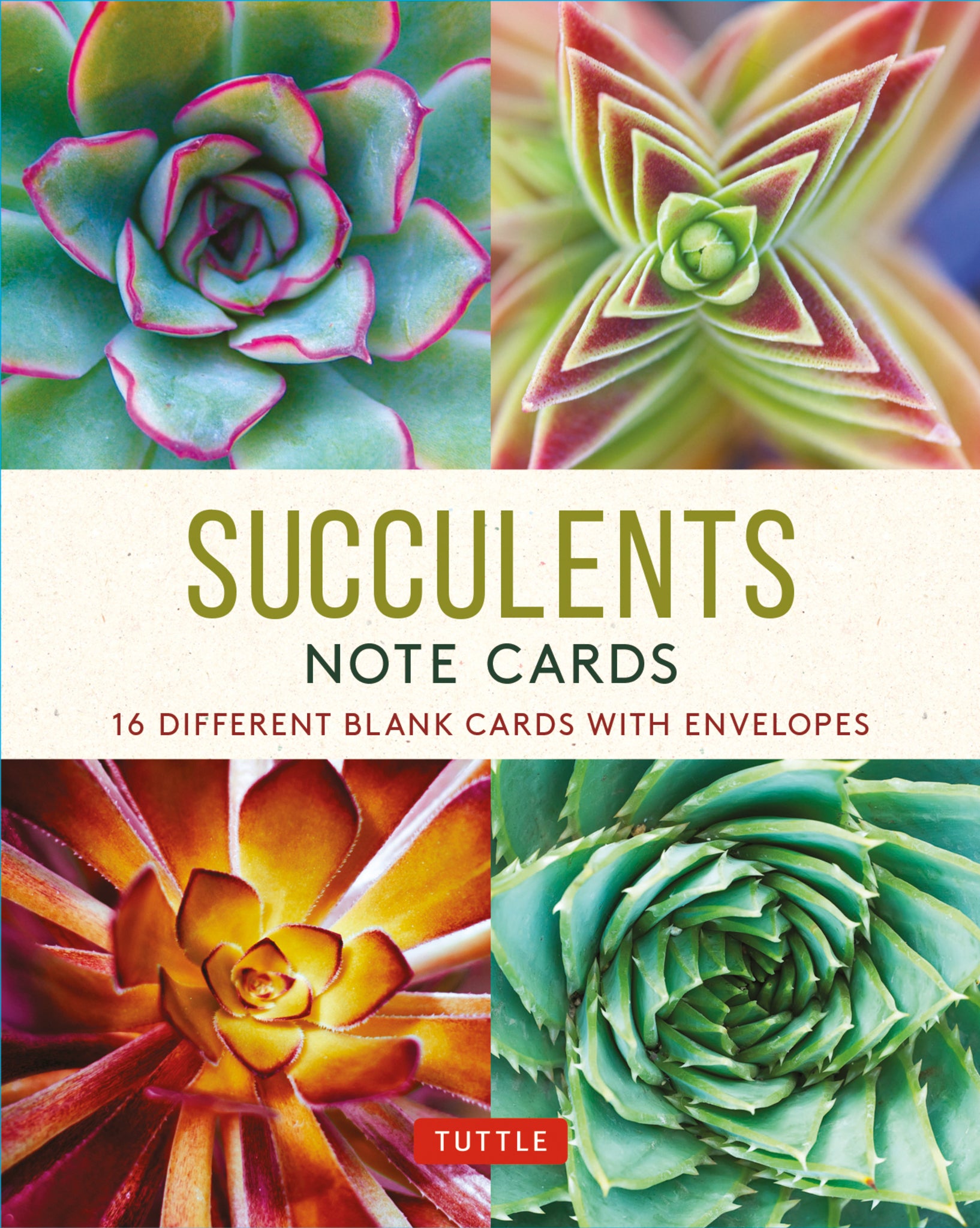 Succulents, 16 Note Cards