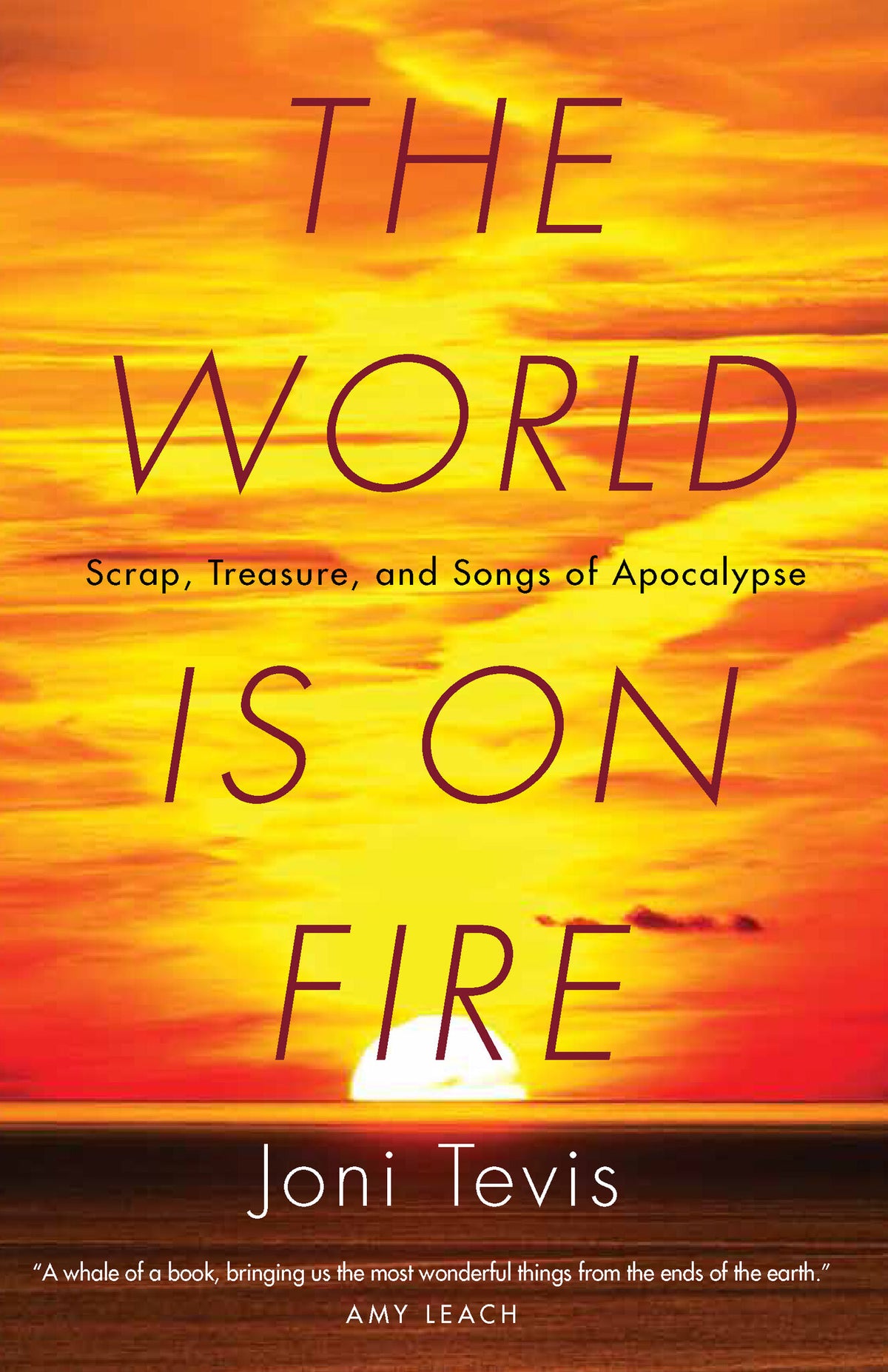 Cover image for The World Is on Fire ISBN 9781571313478
