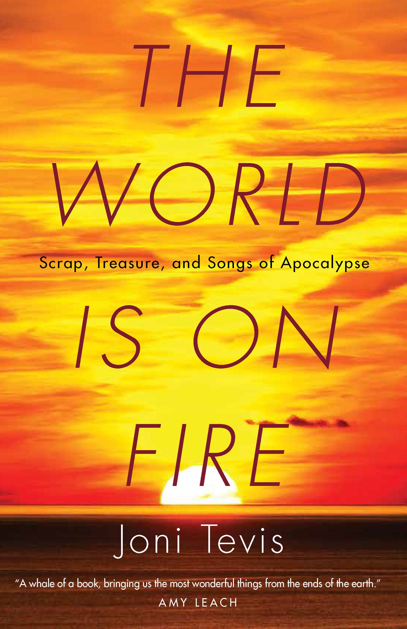 Cover image for The World Is on Fire ISBN 9781571313478