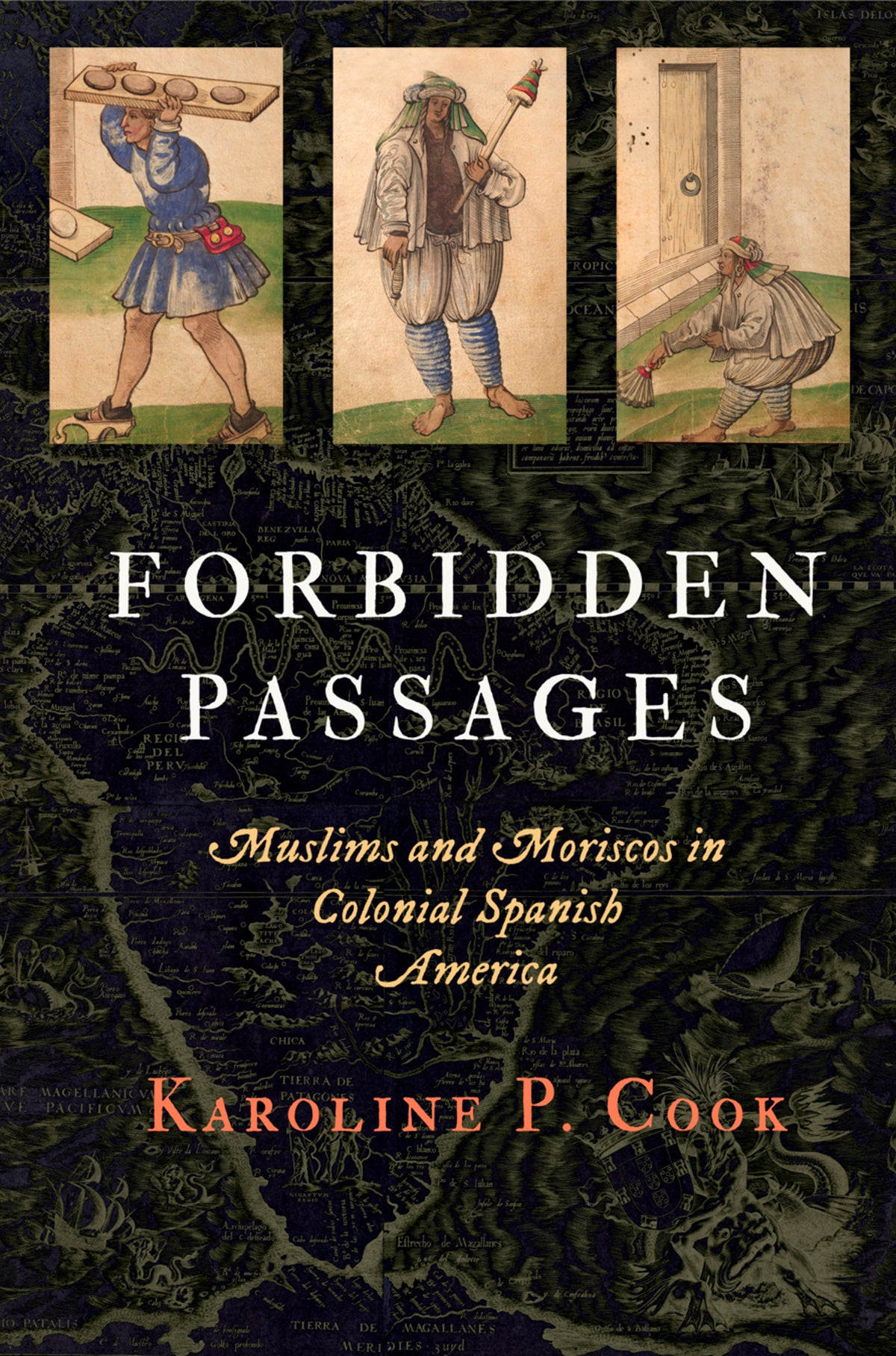 Cover image for Forbidden Passages ISBN 9780812248241