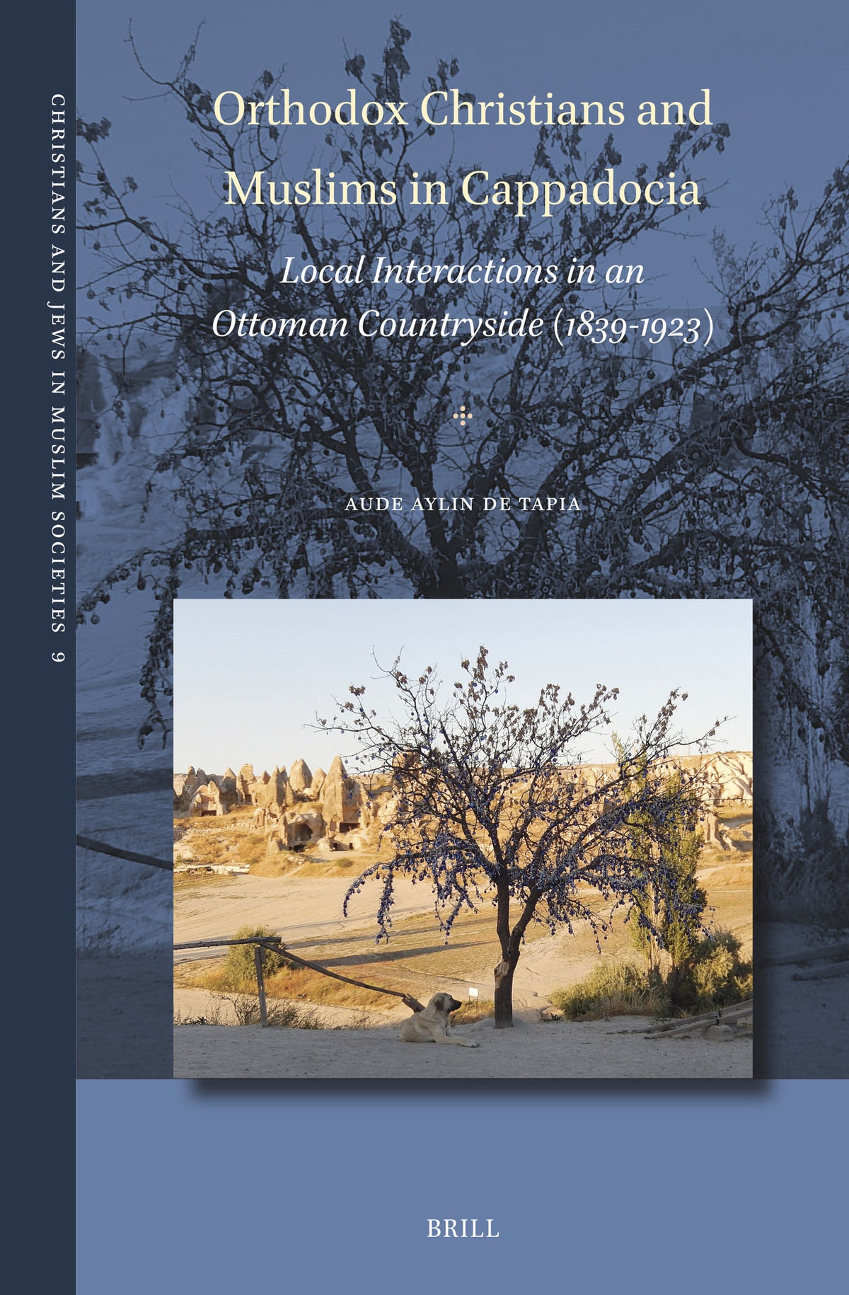 Cover image for Orthodox Christians and Muslims in Cappadocia ISBN 9789004547698