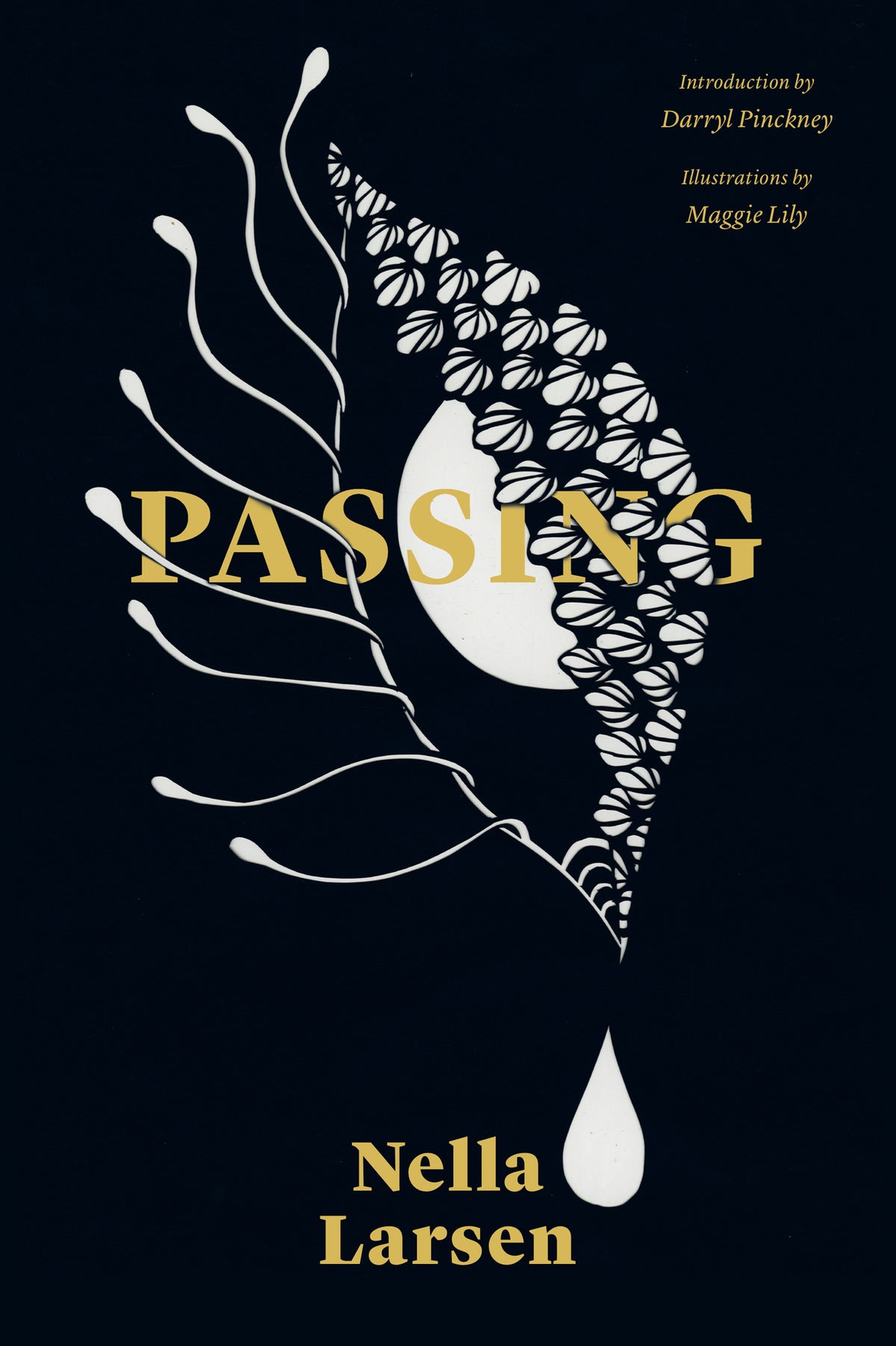 Cover image for Passing ISBN 
