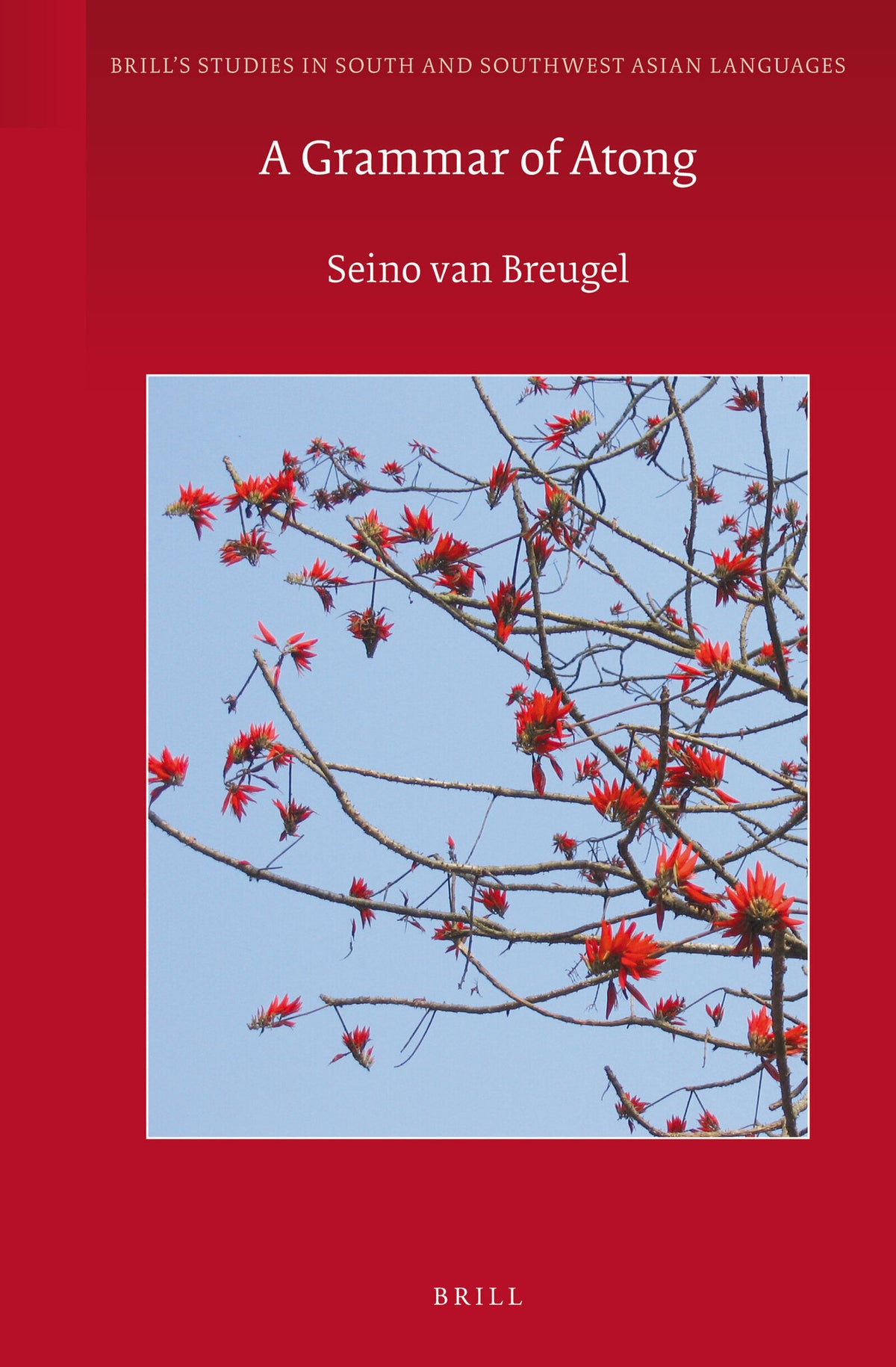 Cover image for A Grammar of Atong ISBN 9789004258921