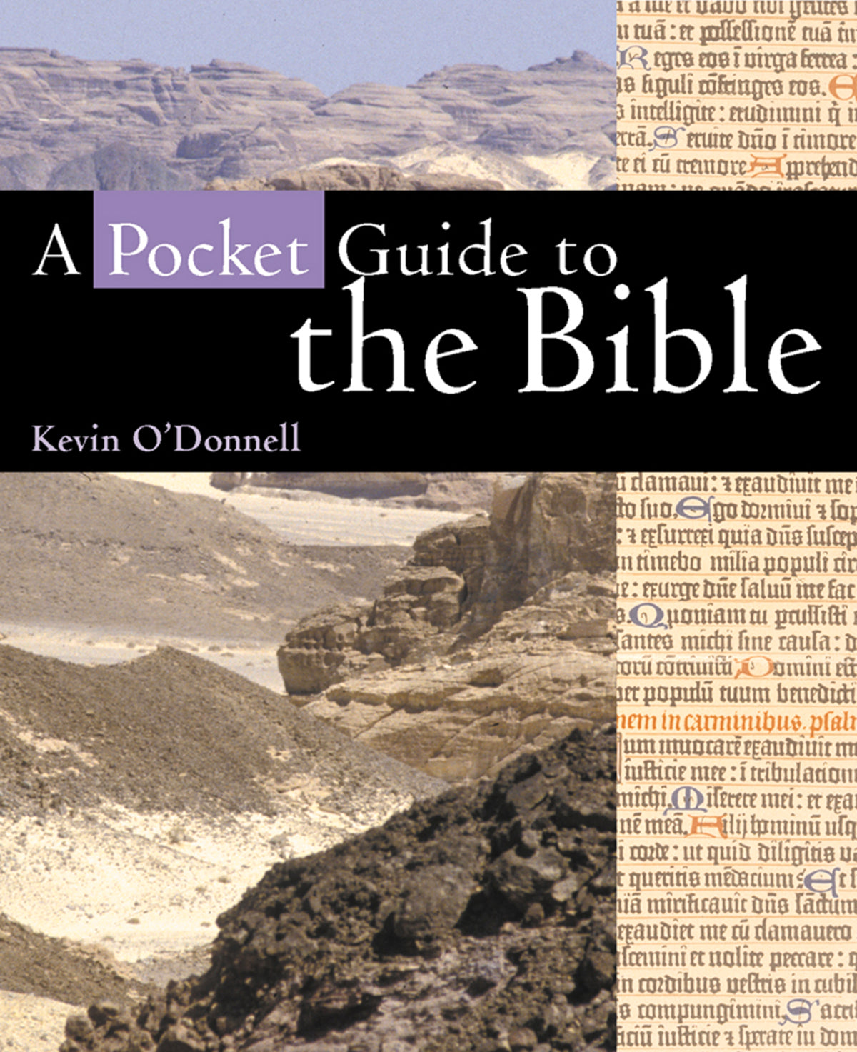 Cover image for A Pocket Guide to the Bible ISBN 9780745957647