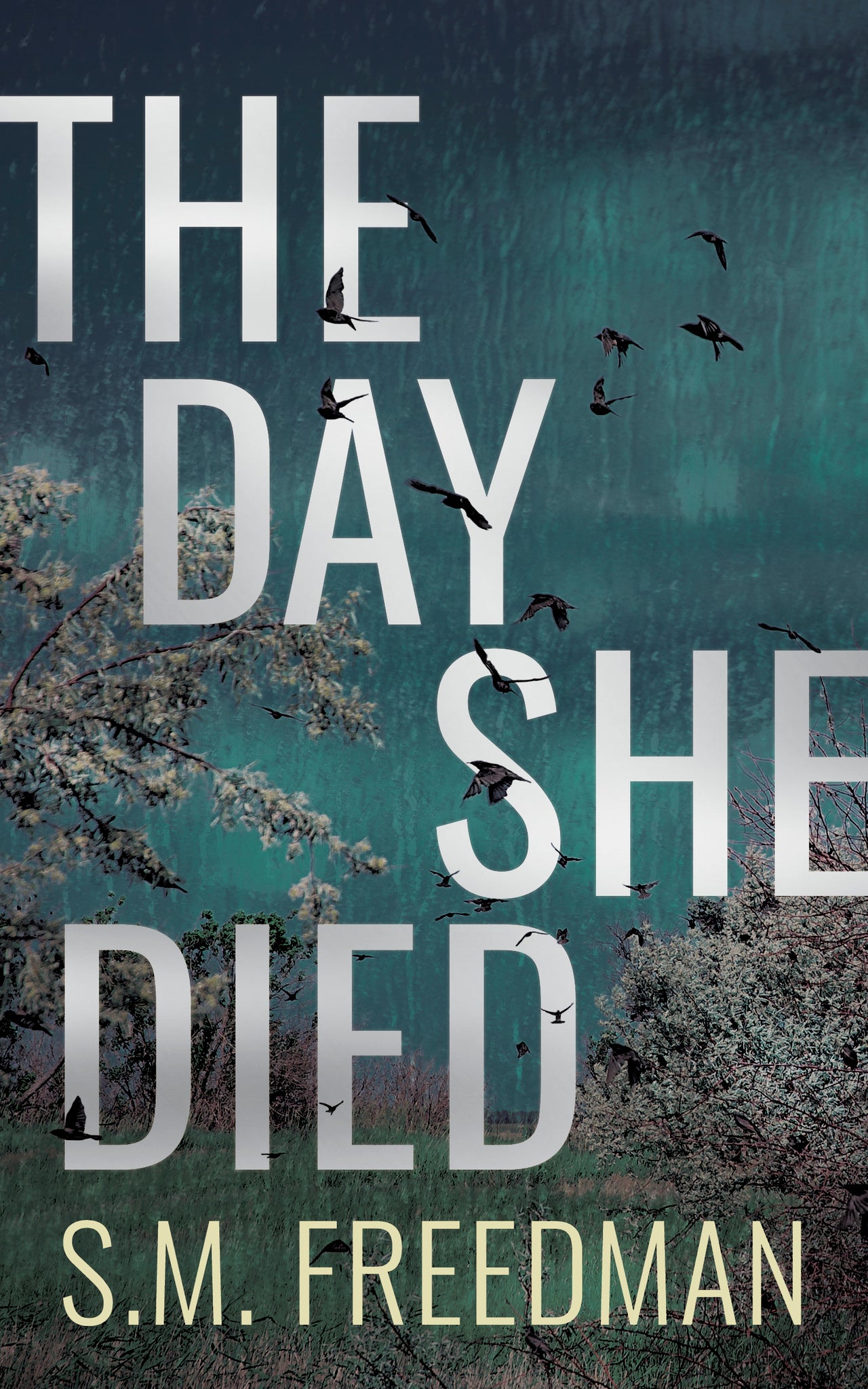Cover image for The Day She Died ISBN 9781459747401