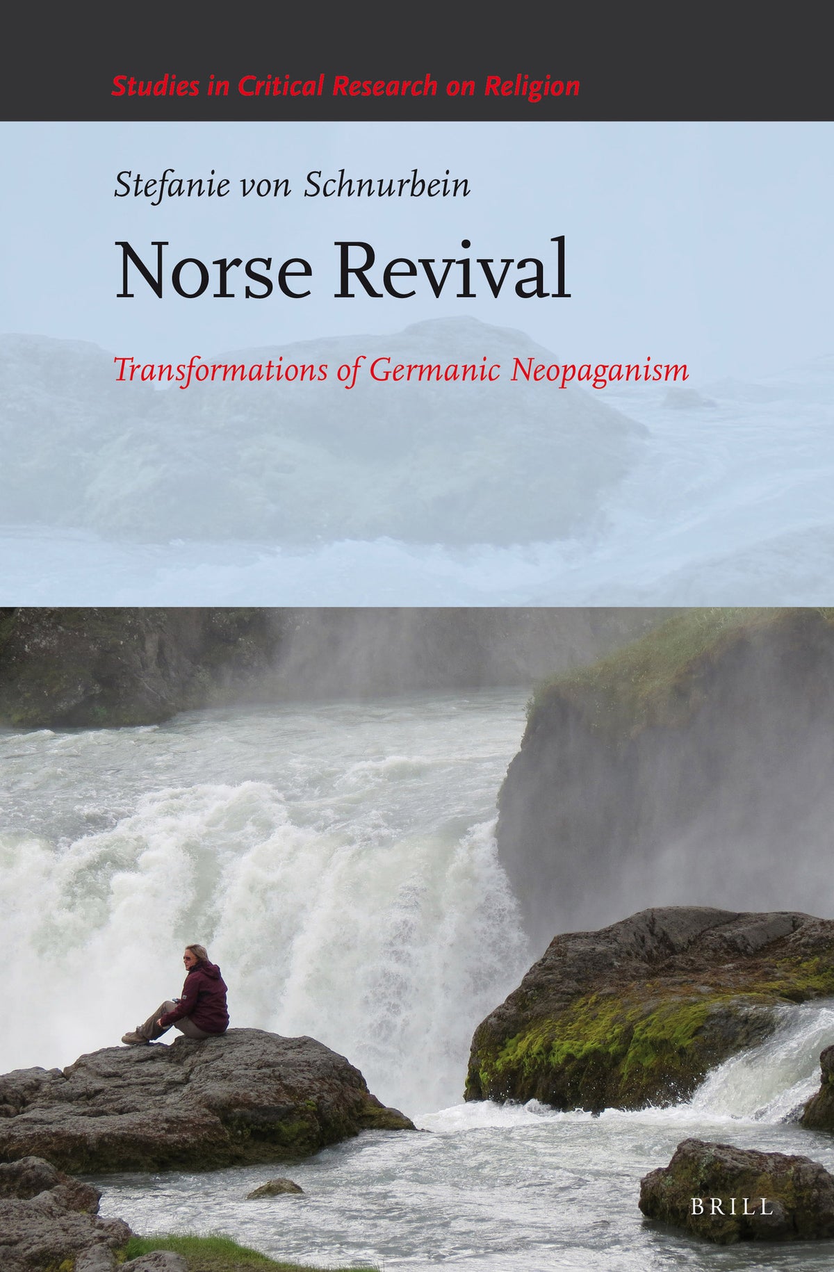 Cover image for Norse Revival ISBN 9789004294356
