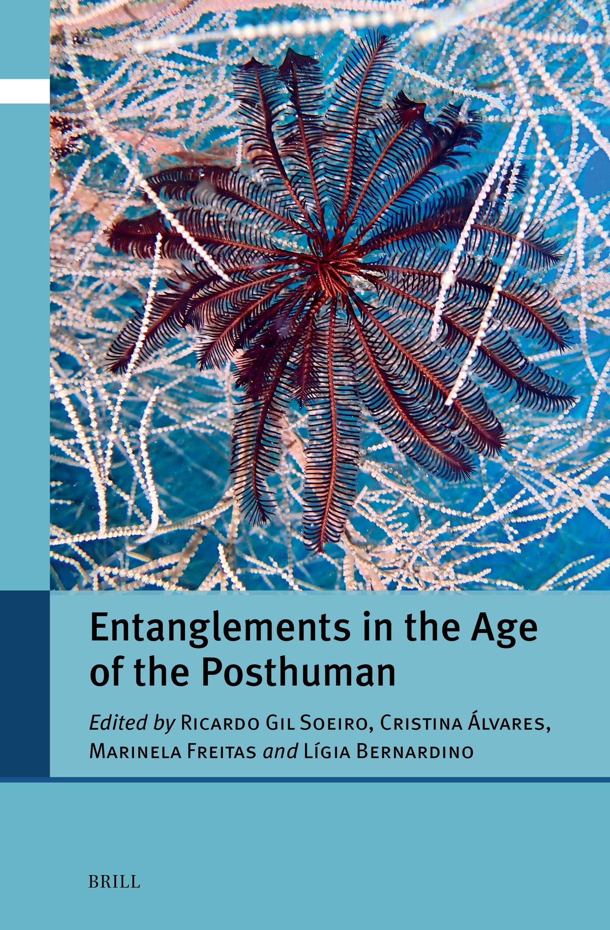 Entanglements in the Age of the Posthuman