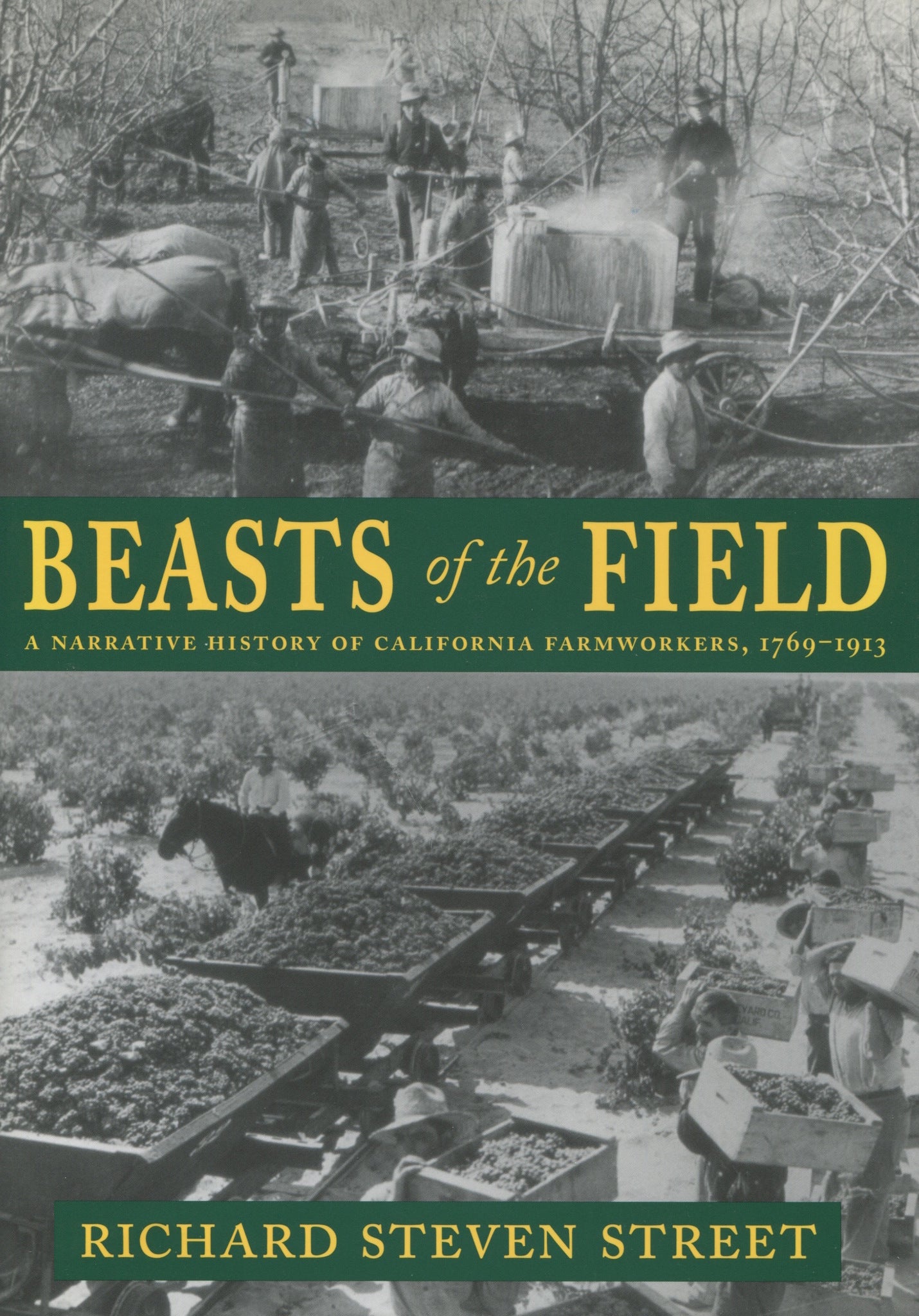 Cover image for Beasts of the Field ISBN 9780804738804