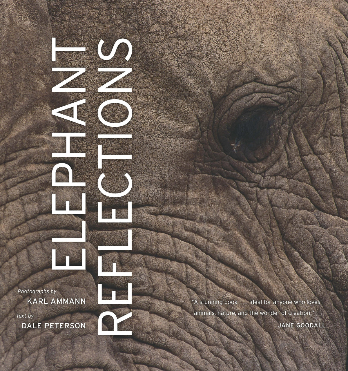 Cover image for Elephant Reflections ISBN 9780520253773