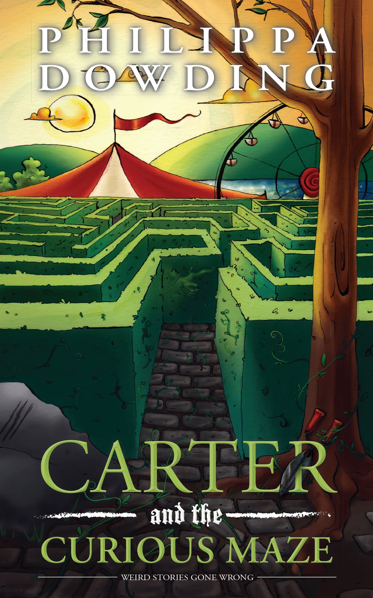 Cover image for Carter and the Curious Maze ISBN 9781459732490