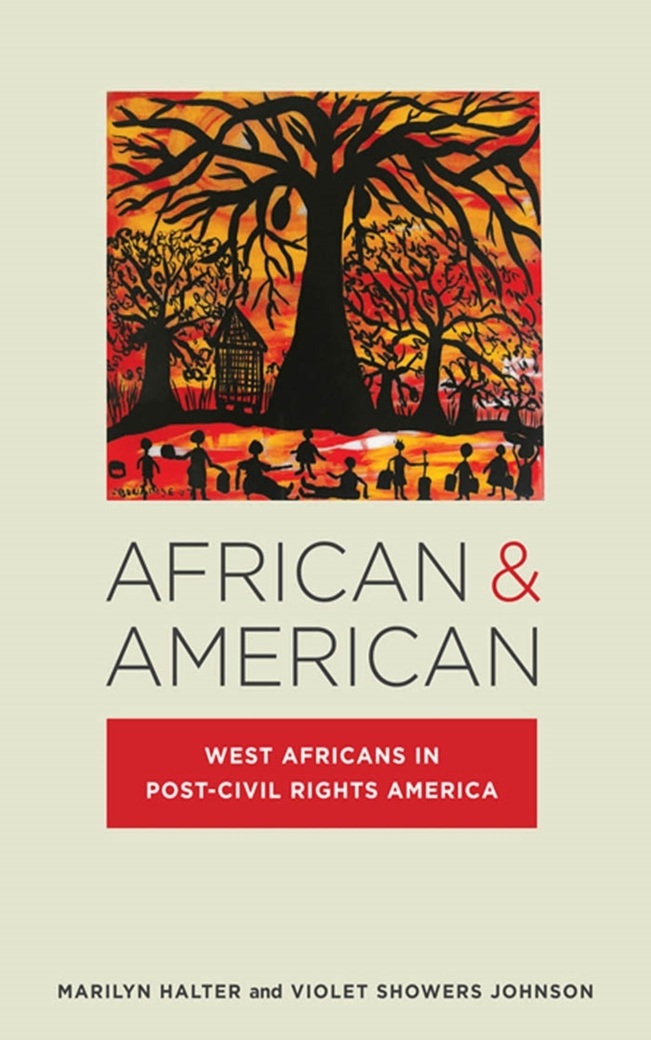 Cover image for African & American ISBN 9780814760581