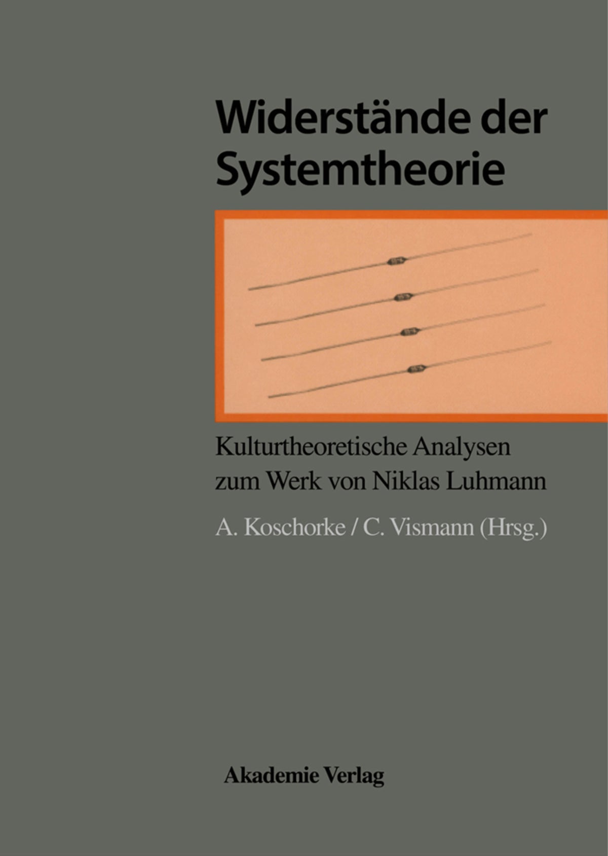 Cover image for Widerstände der Systemtheorie ISBN 9783050034775
