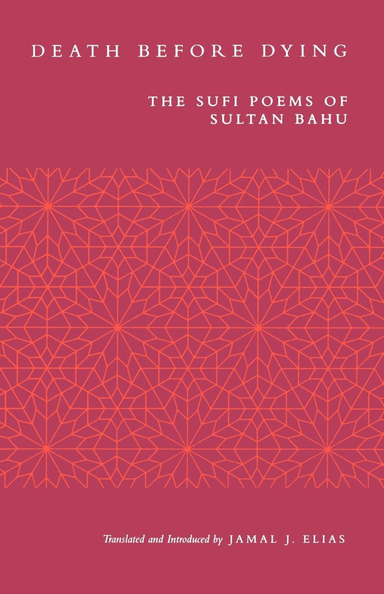 Cover image for Death before Dying ISBN 9780520920460