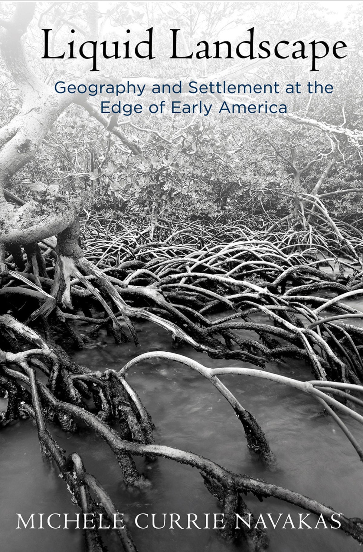Cover image for Liquid Landscape ISBN 9780812294422