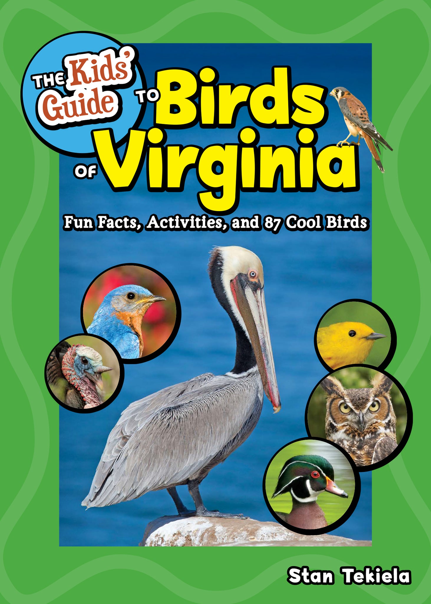 The Kids' Guide to Birds of Virginia