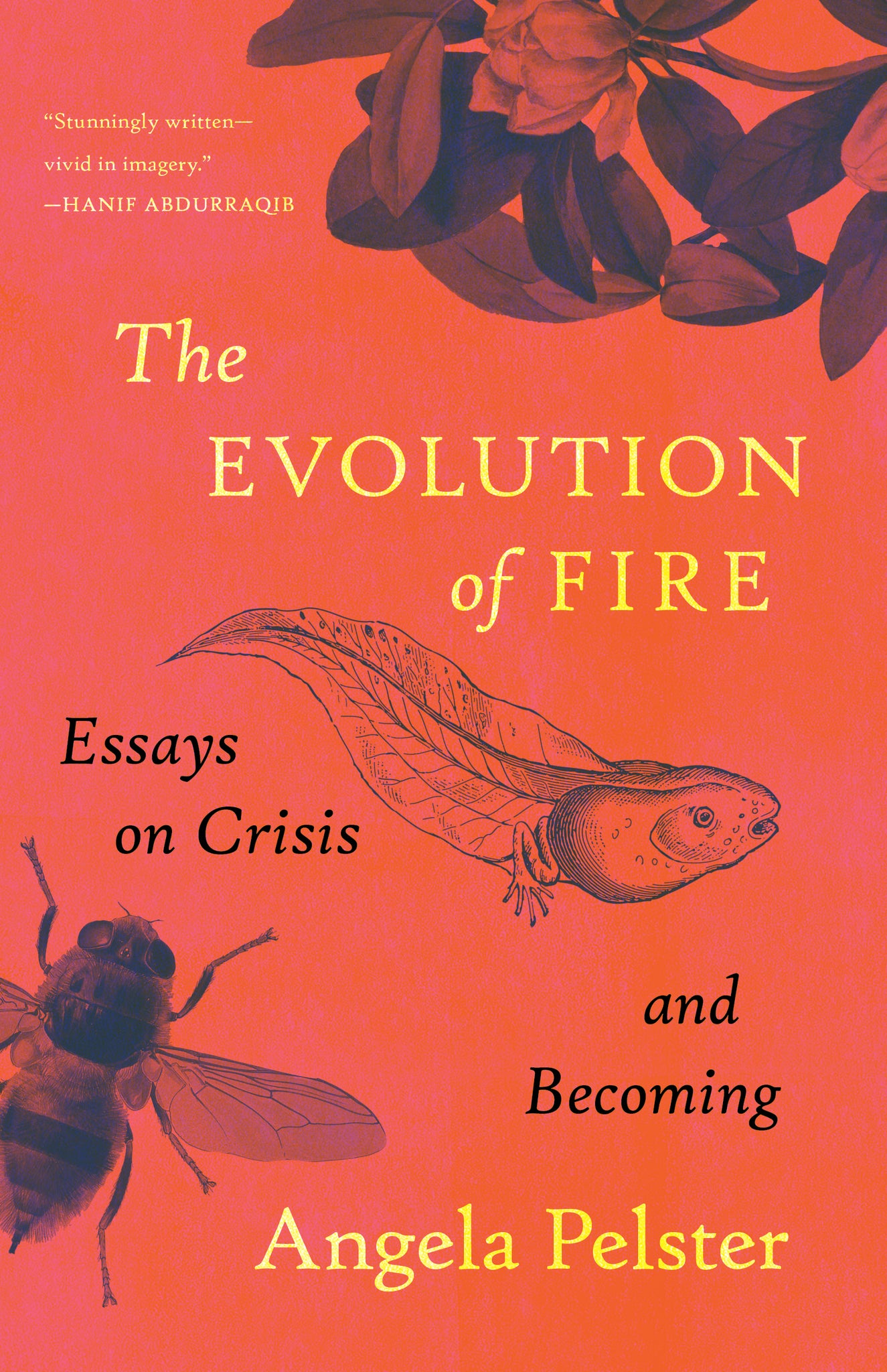 Cover image for The Evolution of Fire ISBN 9781639551231