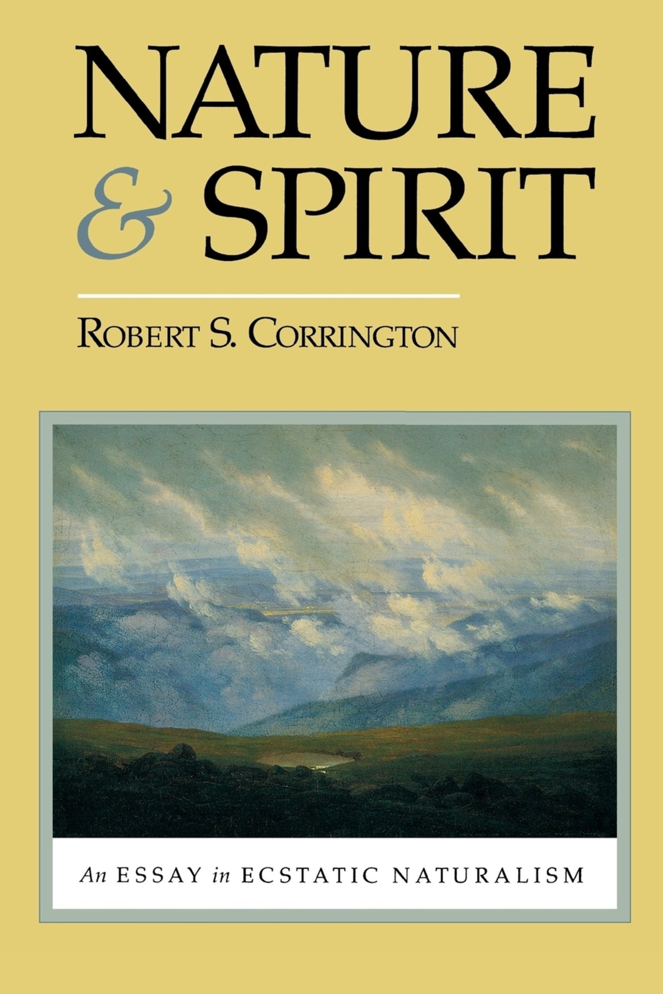 Cover image for Nature and Spirit ISBN 9780823213627