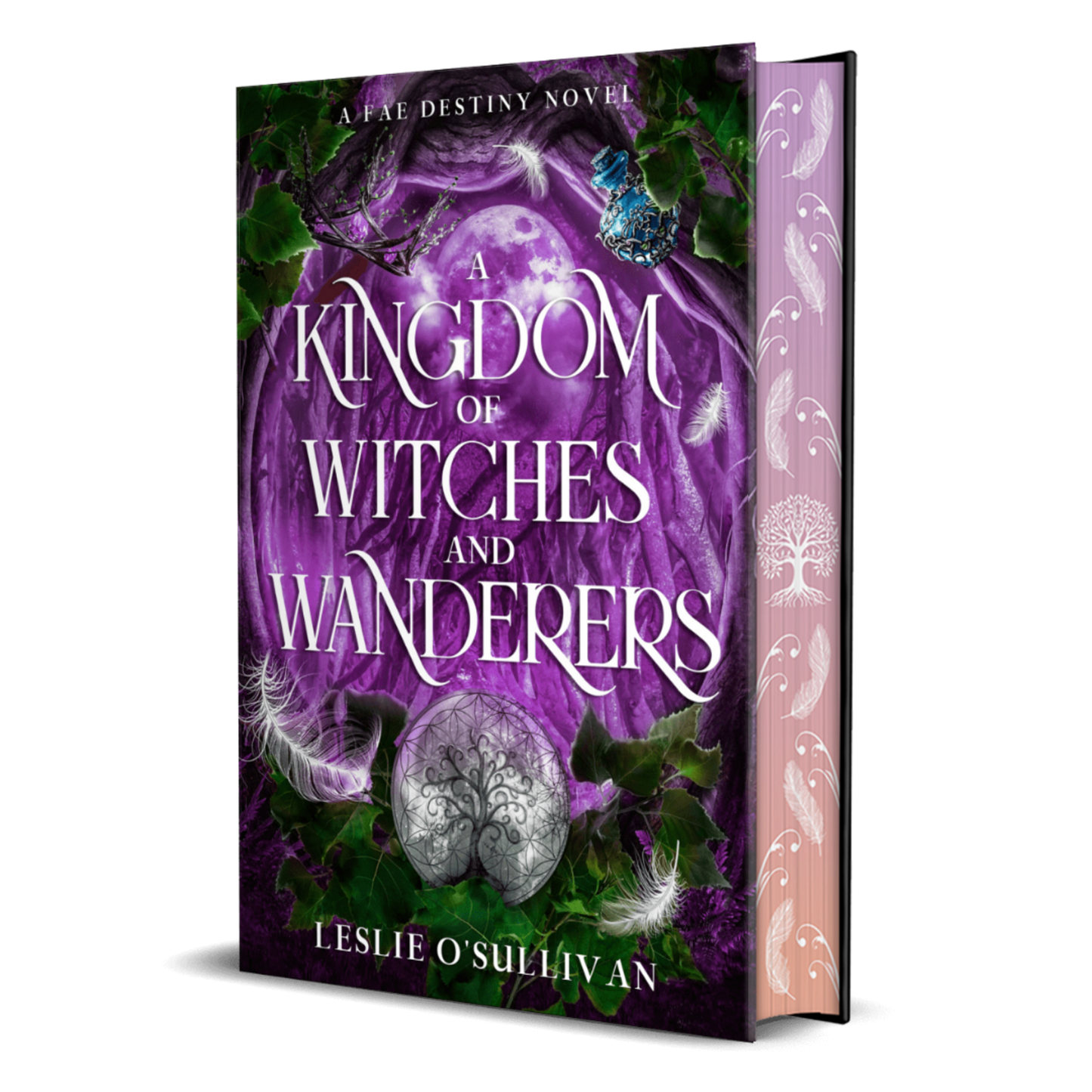 A Kingdom of Witches and Wanderers