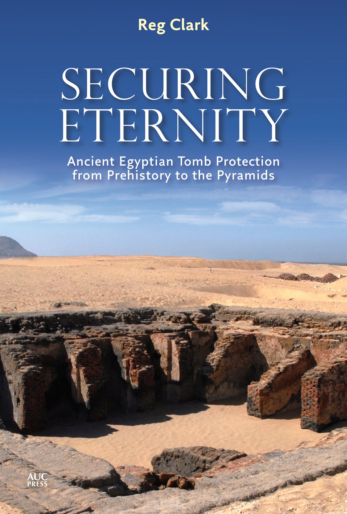 Cover image for Securing Eternity: ISBN 9781617979484