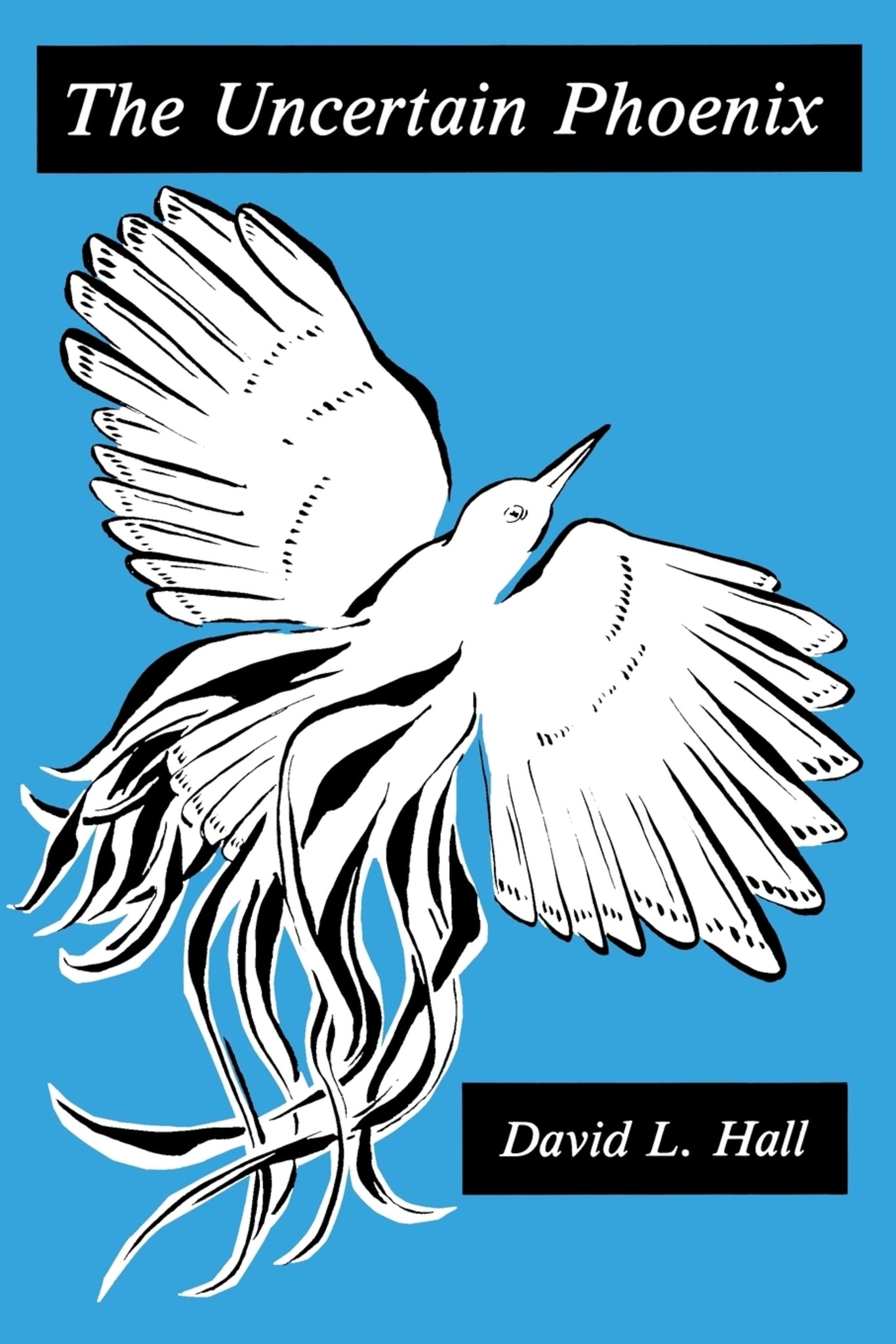 Cover image for The Uncertain Phoenix ISBN 9780823210534