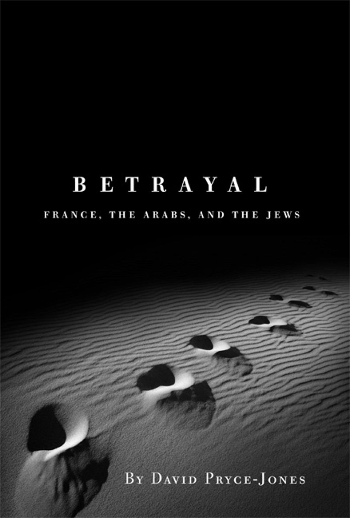 Cover image for Betrayal ISBN 9781594031519